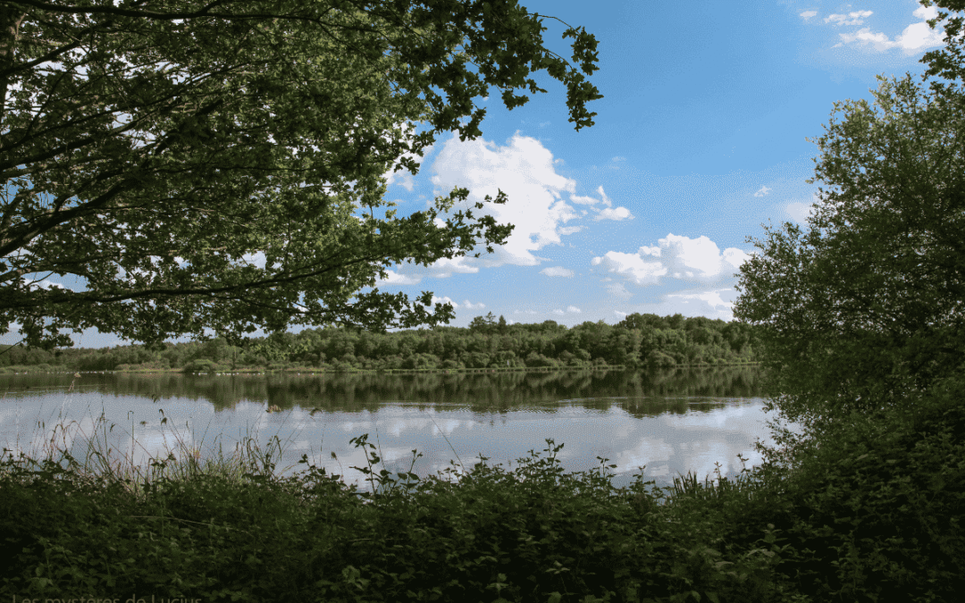 Que faire en Sologne ? Activités insolites, natures et aventure