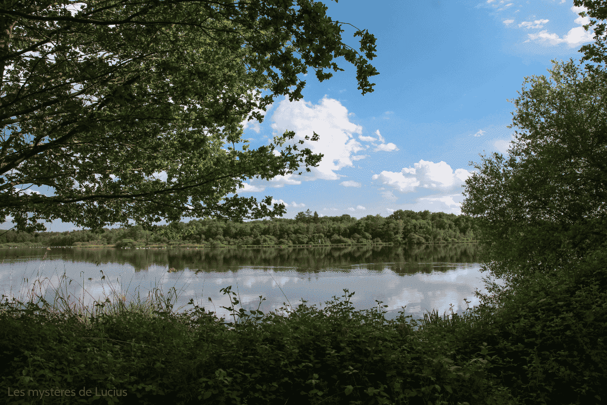 Illustration Que faire en Sologne